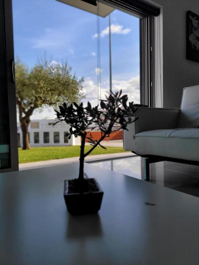 Appartamento Olive Ap. Torreira Esterno foto